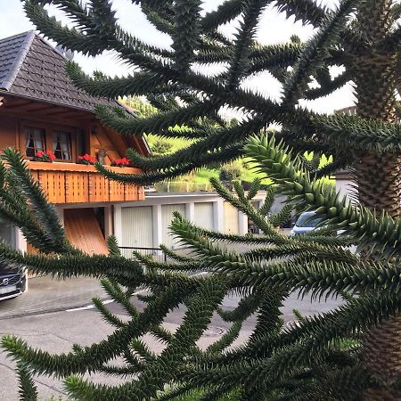 Pension Haus Rose Oberharmersbach Dış mekan fotoğraf