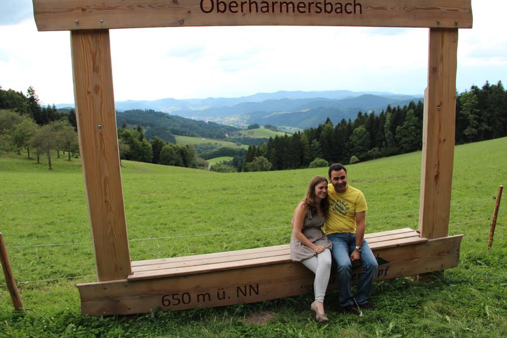 Pension Haus Rose Oberharmersbach Oda fotoğraf