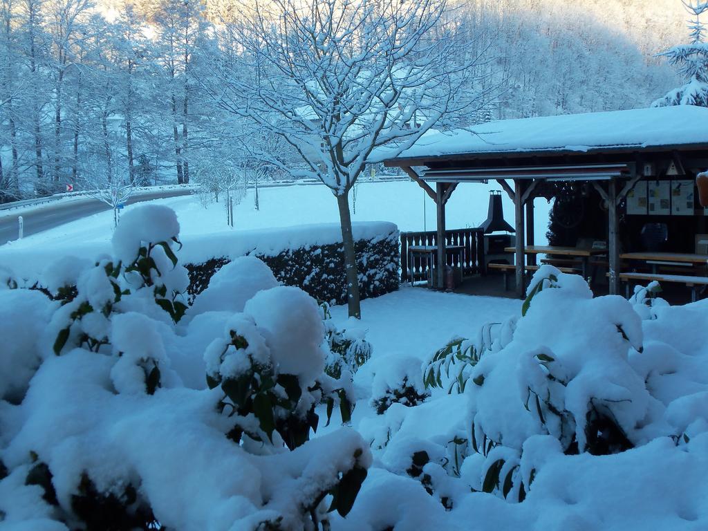 Pension Haus Rose Oberharmersbach Dış mekan fotoğraf