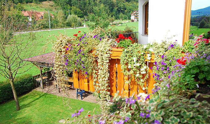 Pension Haus Rose Oberharmersbach Oda fotoğraf