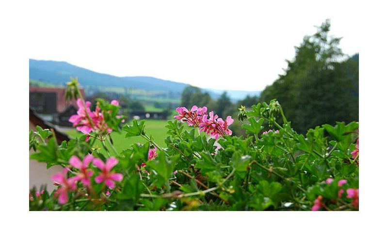 Pension Haus Rose Oberharmersbach Dış mekan fotoğraf