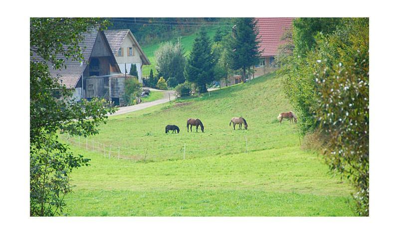 Pension Haus Rose Oberharmersbach Dış mekan fotoğraf